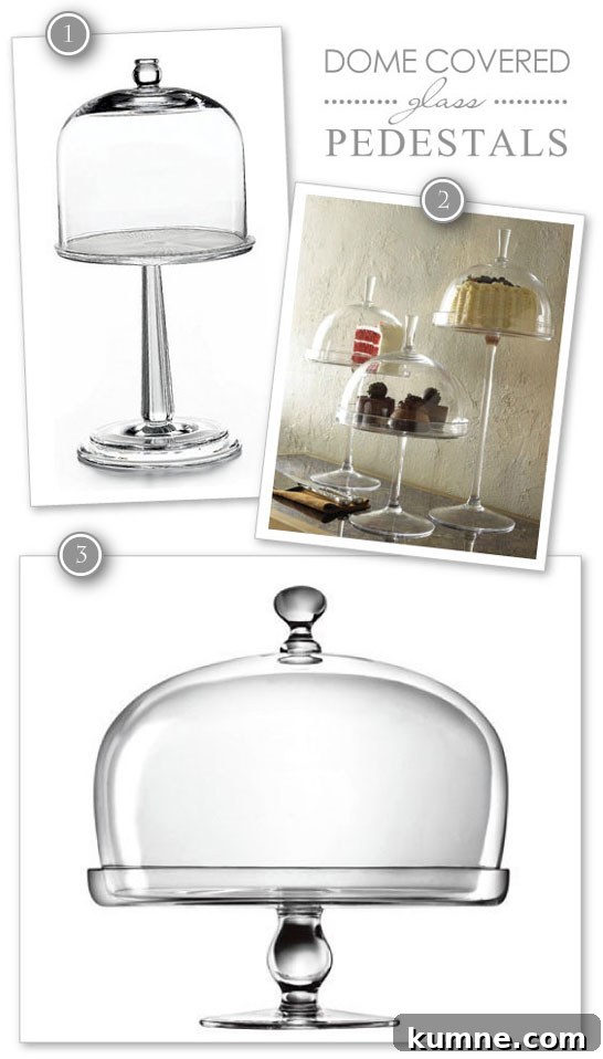 featured 10093
