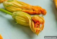 Cook Zucchini and Squash Blossoms: Simple Recipes & Tips