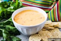 Creamy Instant Pot Cheese Dip Recipe You’ll Love