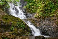 Top Immersive Nature Tours to Experience on Oʻahu