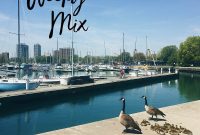 Weekly Mix: Top Music Picks, New Releases & Curated Playlists