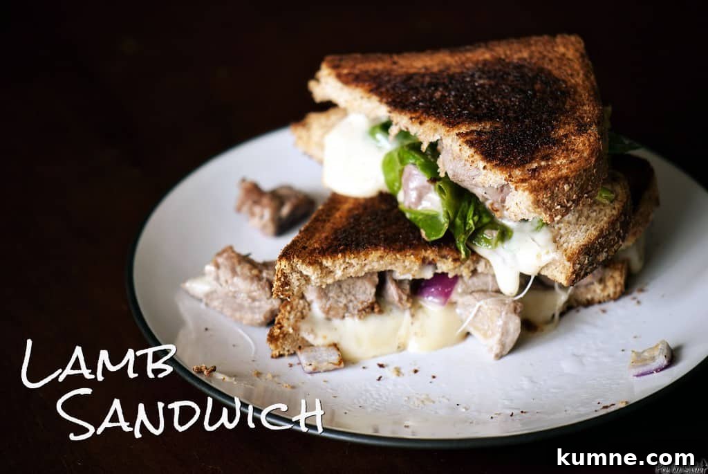 Lamb Grilled Cheese Sandwich | Kita Roberts PassTheSushi.com