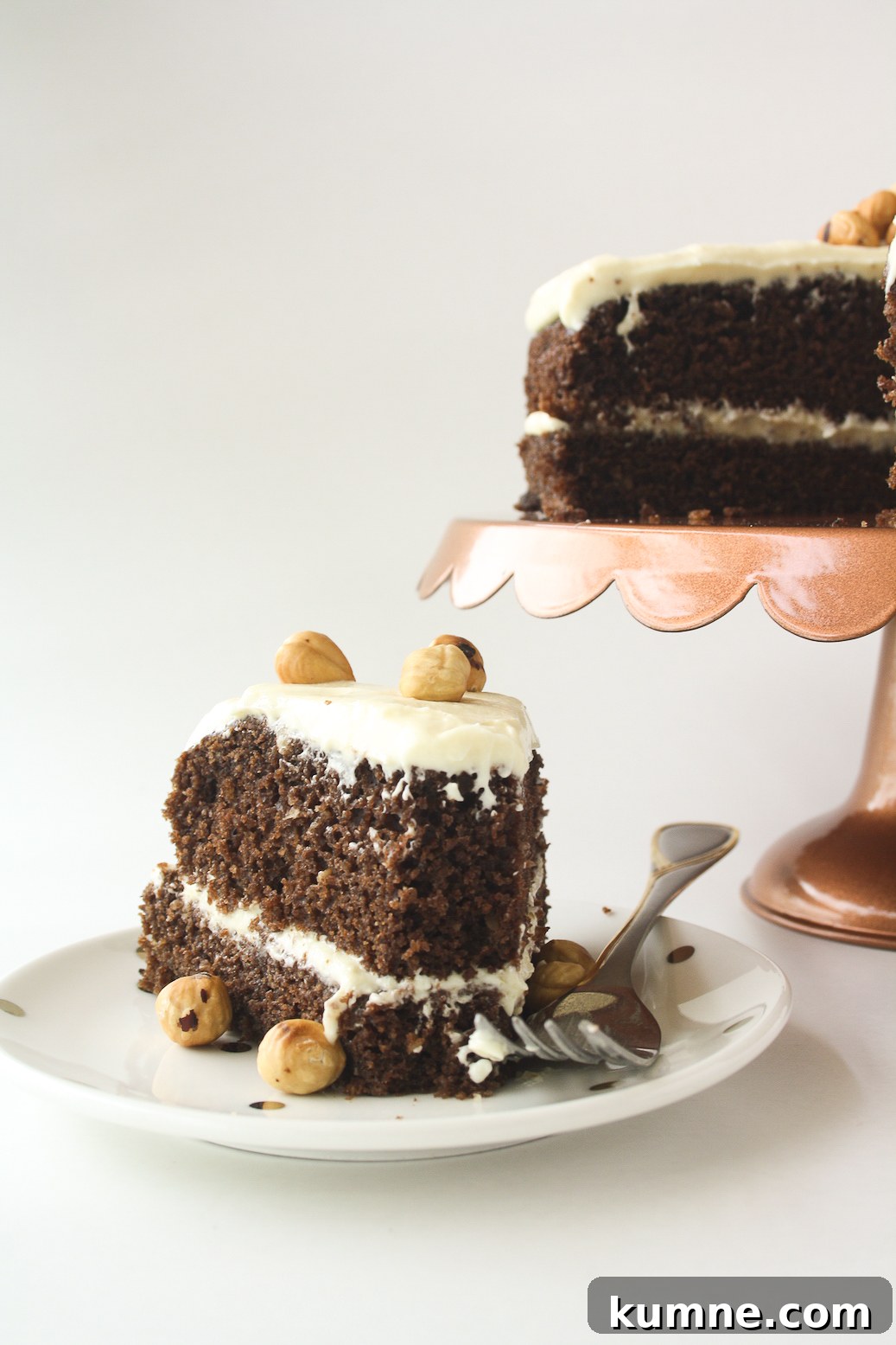 Decadent Chocolate Hazelnut Layer Cake Recipe 4 Moist chocolate cake filled with hazelnuts, layered with a hazelnut cream cheese frosting!