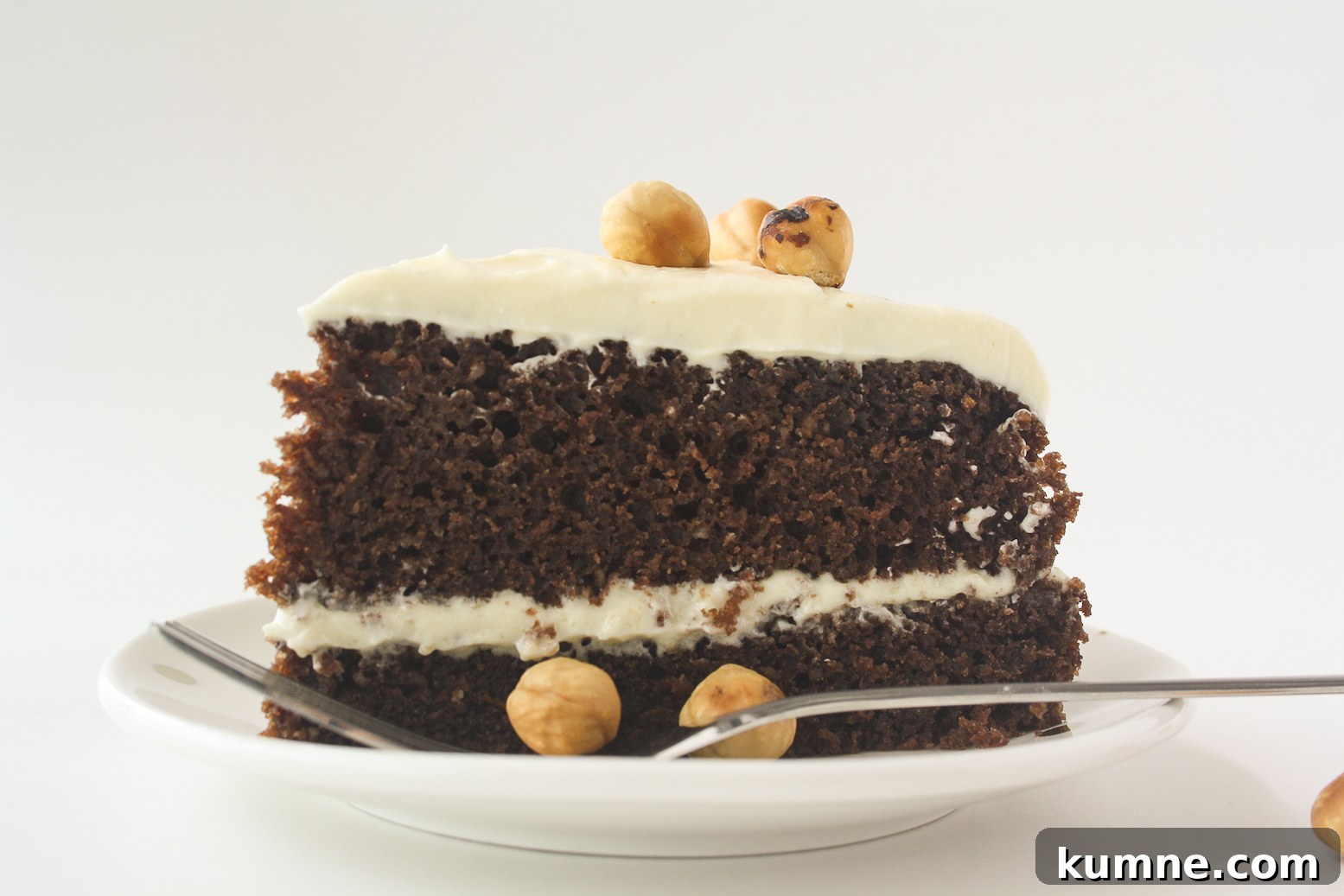 Decadent Chocolate Hazelnut Layer Cake Recipe 6 Moist chocolate cake filled with hazelnuts, layered with a hazelnut cream cheese frosting!