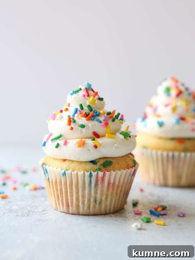 Two perfect vanilla funfetti cupcakes