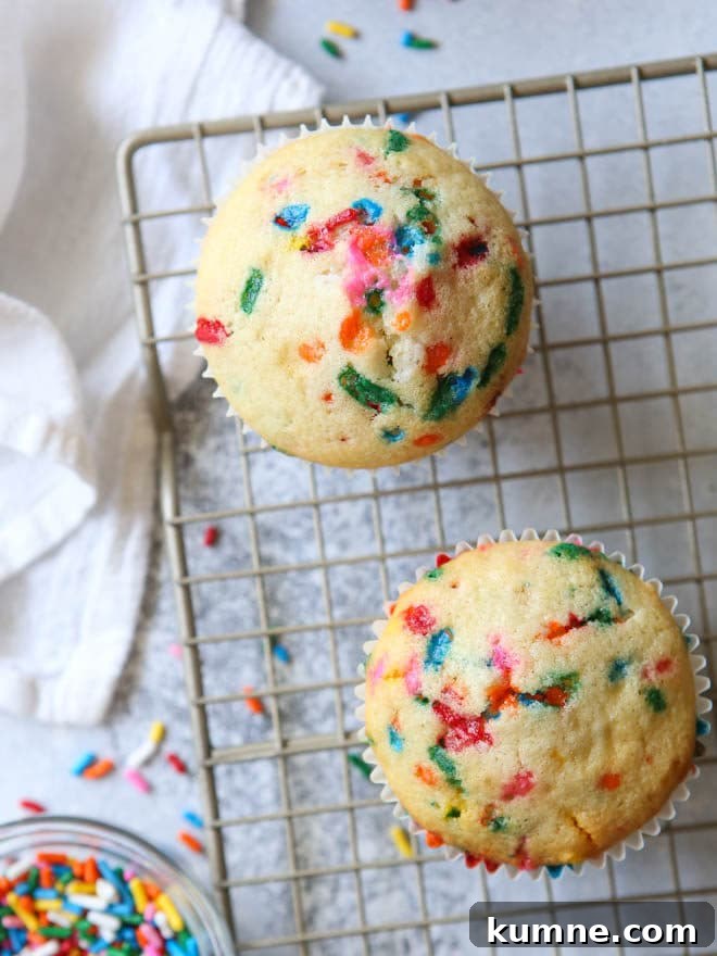 This batch of funfetti cupcakes makes just two!