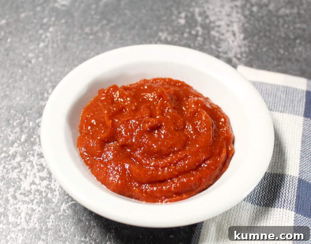 Spicy Keto Homemade Ketchup4