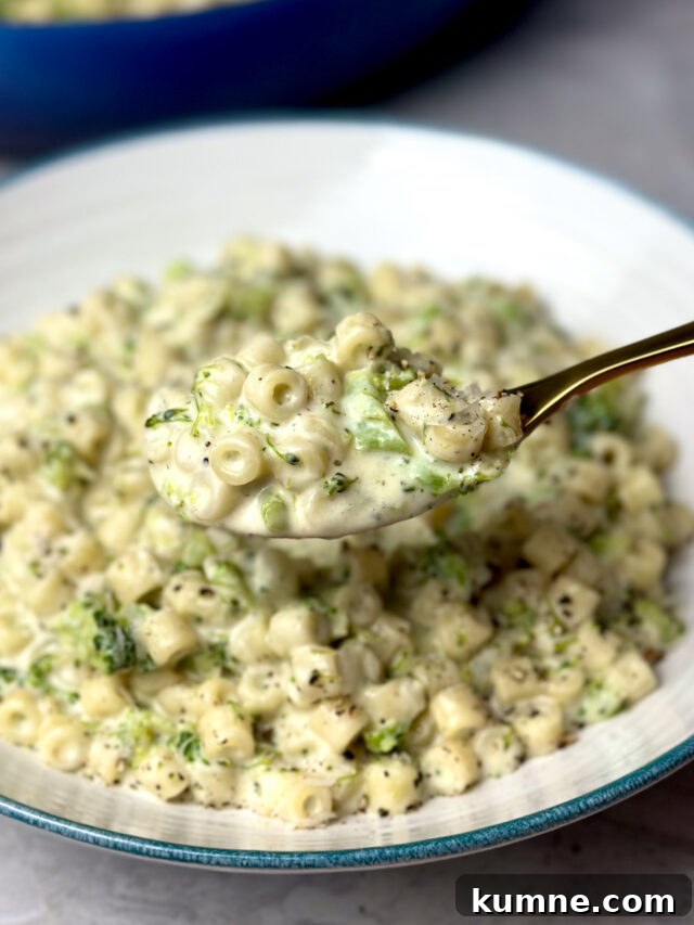 creamy broccoli pasta
