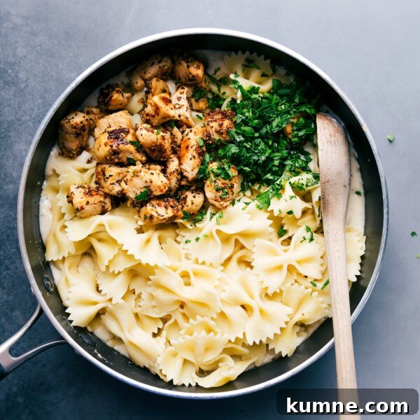 Creamy Baked Chicken Alfredo Casserole Recipe 4 Pasta, chicken, and fresh parsley over the alfredo sauce, about to be mixed together to create a delicious meal.