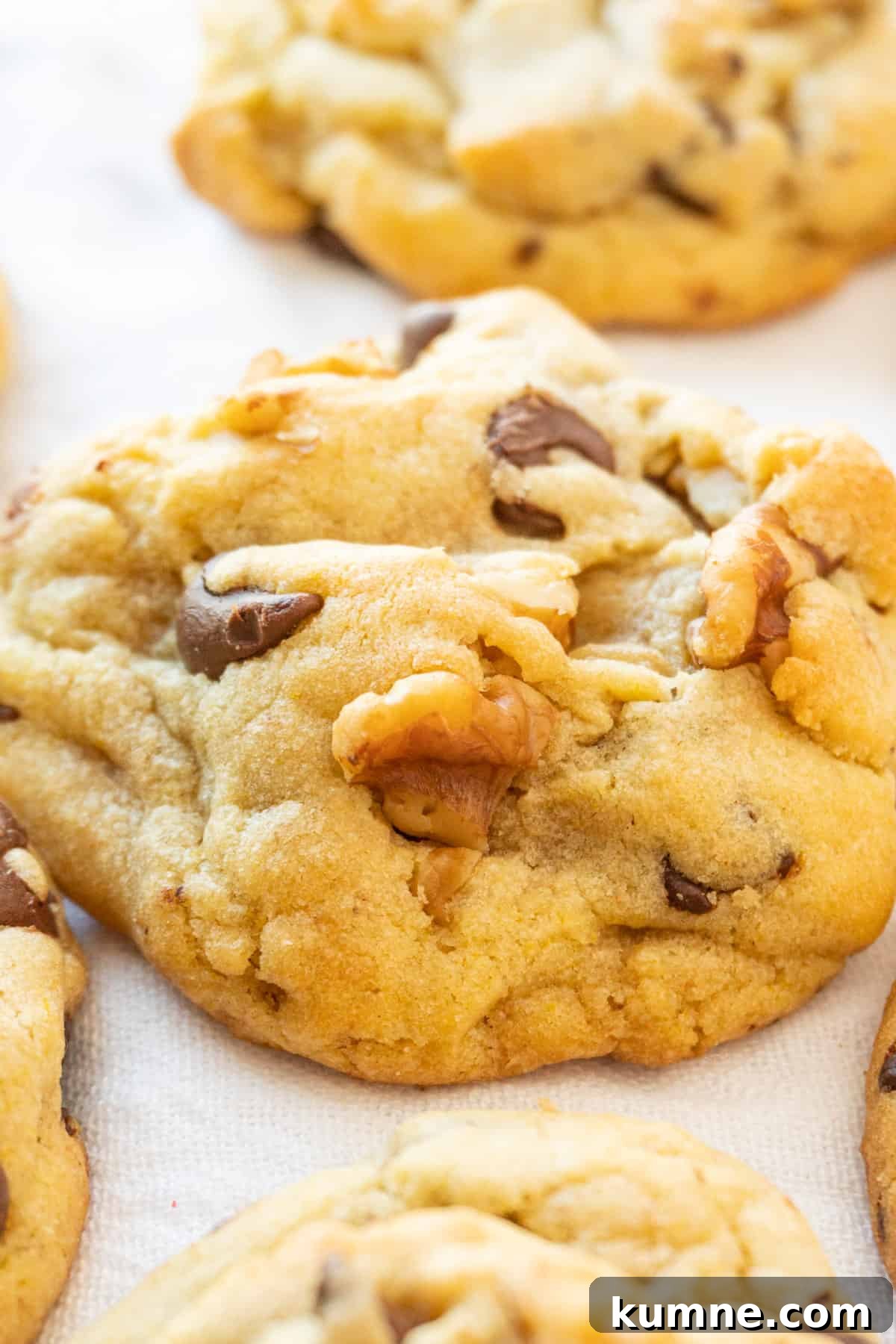 walnut chocolate chip cookie close up