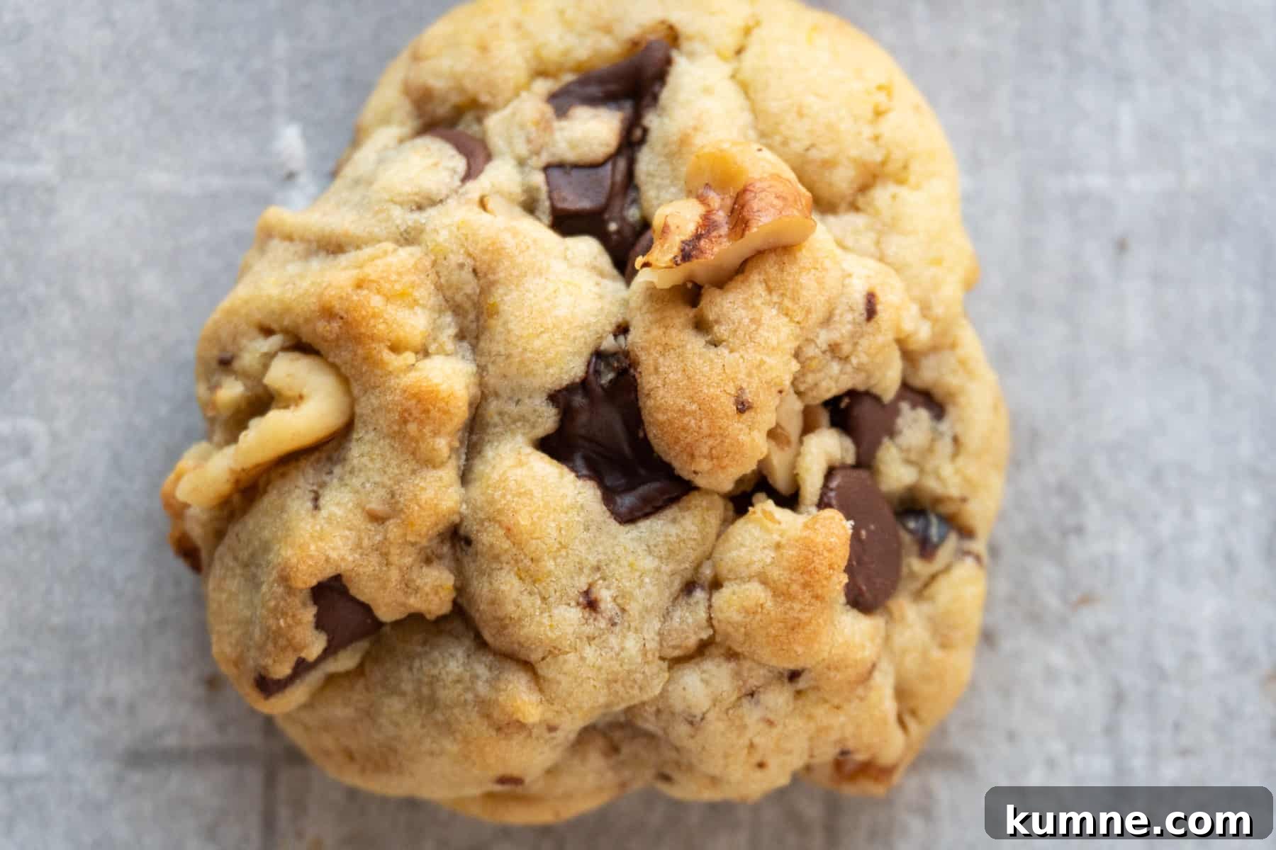 close up of walnut chocolate chip cookie horizontal image