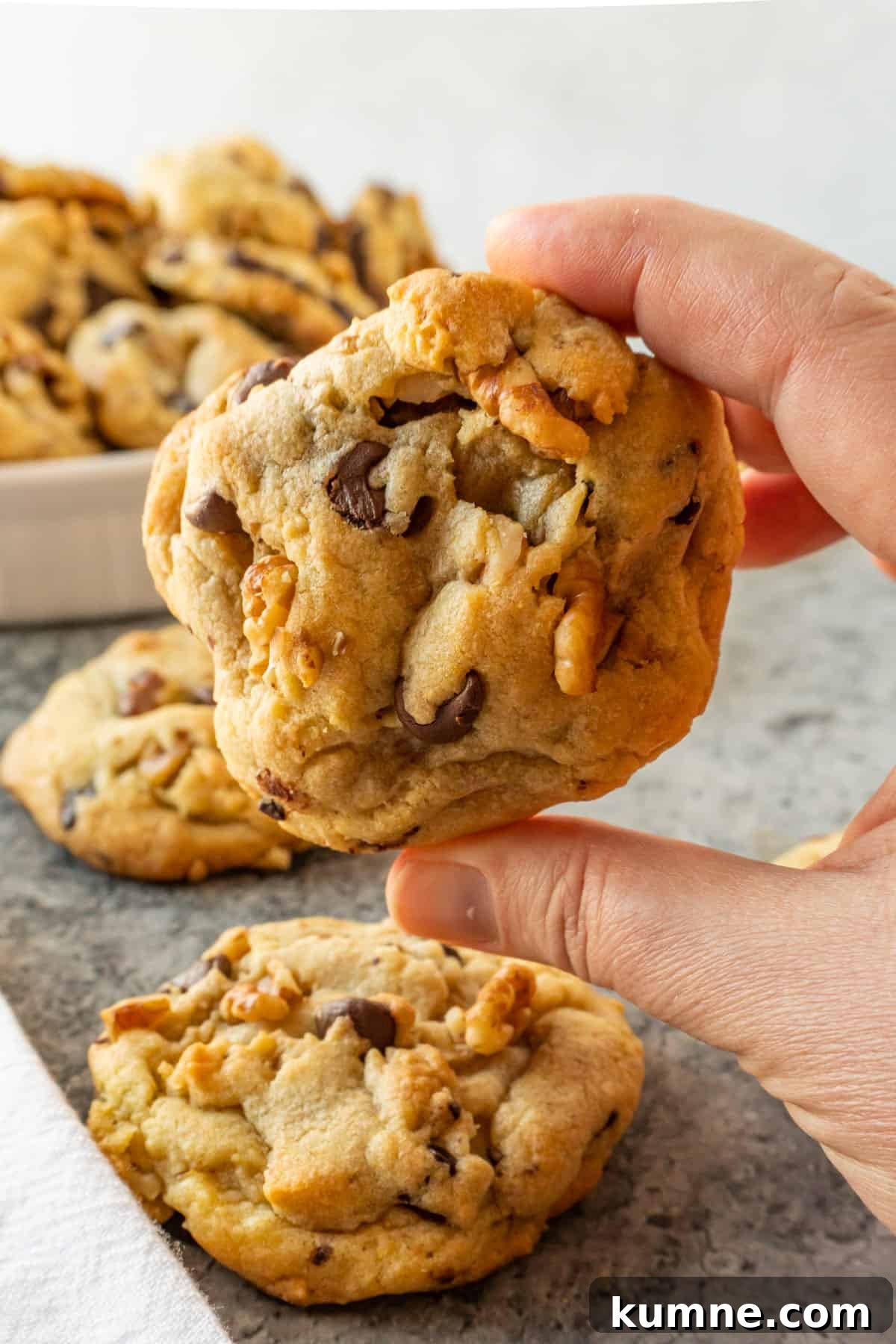 holding a walnut chocolate chip cookie