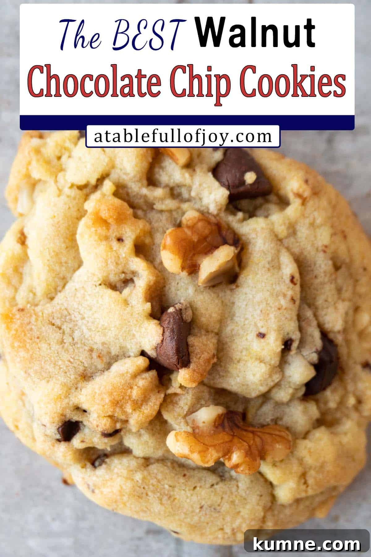 walnut chocolate chip cookie close up pinterest pin