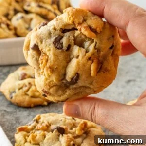 walnut chocolate chip cookie being held featured image