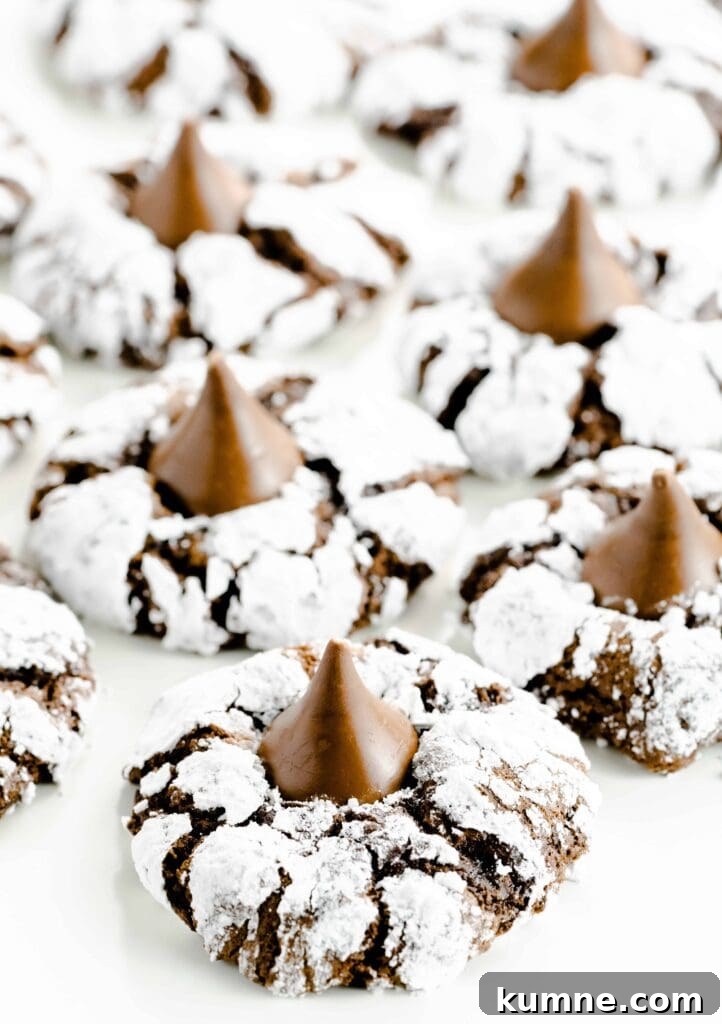 Chocolate cookies rolled into powdered sugar and topped with a pressed chocolate kiss in center.
