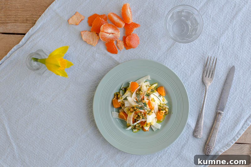 Clementine and fennel salad with a citrussy dill dressing, a light, sweet side salad with the zesty overtones of clementine and the uniquely aromatic flavour of dill, which pairs beautifully with citrus flavours. Anise-scented fennel is the ideal vegetable to base this salad upon, bumping it up to a full sized, slaw-esque side salad. Perfectly suited to light summer dinners, shared lunches, picnics or alongside fish. It’s vegetarian and vegan as well, plus dairy free so perfect for most diets.