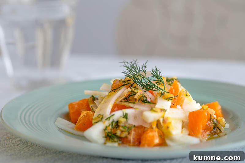 Clementine and fennel salad with a citrussy dill dressing, a light, sweet side salad with the zesty overtones of clementine and the uniquely aromatic flavour of dill, which pairs beautifully with citrus flavours. Anise-scented fennel is the ideal vegetable to base this salad upon, bumping it up to a full sized, slaw-esque side salad. Perfectly suited to light summer dinners, shared lunches, picnics or alongside fish. It’s vegetarian and vegan as well, plus dairy free so perfect for most diets.