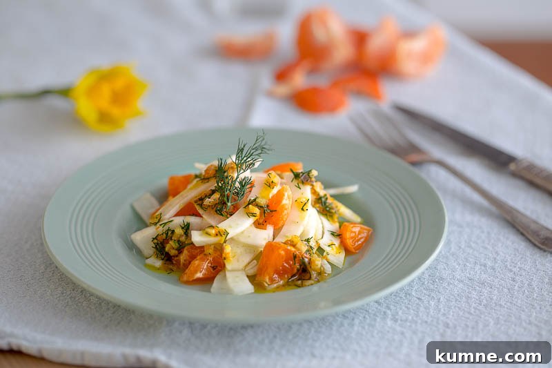 Clementine and fennel salad with a citrussy dill dressing, a light, sweet side salad with the zesty overtones of clementine and the uniquely aromatic flavour of dill, which pairs beautifully with citrus flavours. Anise-scented fennel is the ideal vegetable to base this salad upon, bumping it up to a full sized, slaw-esque side salad. Perfectly suited to light summer dinners, shared lunches, picnics or alongside fish. It’s vegetarian and vegan as well, plus dairy free so perfect for most diets.