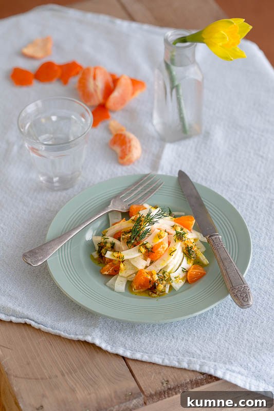 Clementine and fennel salad with a citrussy dill dressing, a light, sweet side salad with the zesty overtones of clementine and the uniquely aromatic flavour of dill, which pairs beautifully with citrus flavours. Anise-scented fennel is the ideal vegetable to base this salad upon, bumping it up to a full sized, slaw-esque side salad. Perfectly suited to light summer dinners, shared lunches, picnics or alongside fish. It’s vegetarian and vegan as well, plus dairy free so perfect for most diets.