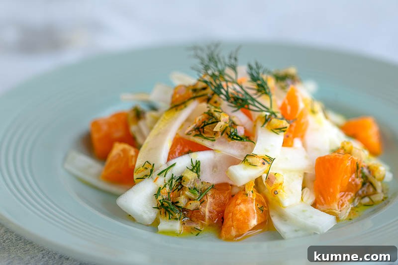 Clementine and fennel salad with a citrussy dill dressing, a light, sweet side salad with the zesty overtones of clementine and the uniquely aromatic flavour of dill, which pairs beautifully with citrus flavours. Anise-scented fennel is the ideal vegetable to base this salad upon, bumping it up to a full sized, slaw-esque side salad. Perfectly suited to light summer dinners, shared lunches, picnics or alongside fish. It’s vegetarian and vegan as well, plus dairy free so perfect for most diets.
