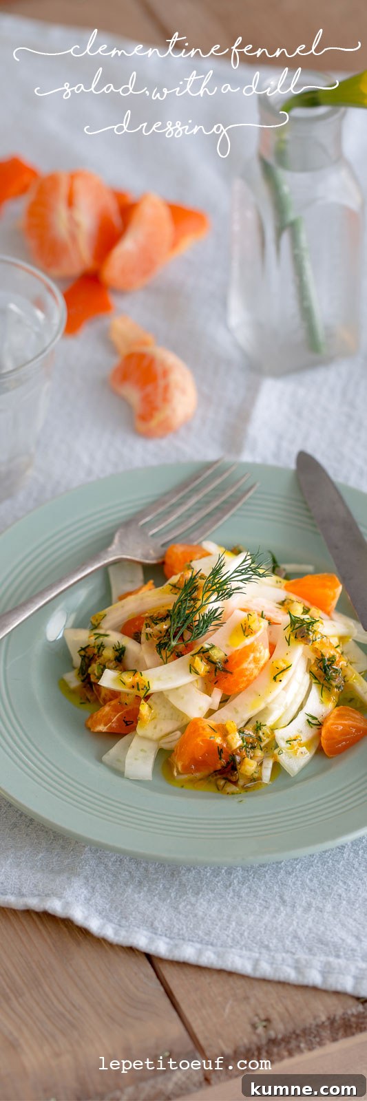 Clementine and fennel salad with a citrussy dill dressing, a light, sweet side salad with the zesty overtones of clementine and the uniquely aromatic flavour of dill, which pairs beautifully with citrus flavours. Anise-scented fennel is the ideal vegetable to base this salad upon, bumping it up to a full sized, slaw-esque side salad. Perfectly suited to light summer dinners, shared lunches, picnics or alongside fish. It’s vegetarian and vegan as well, plus dairy free so perfect for most diets.