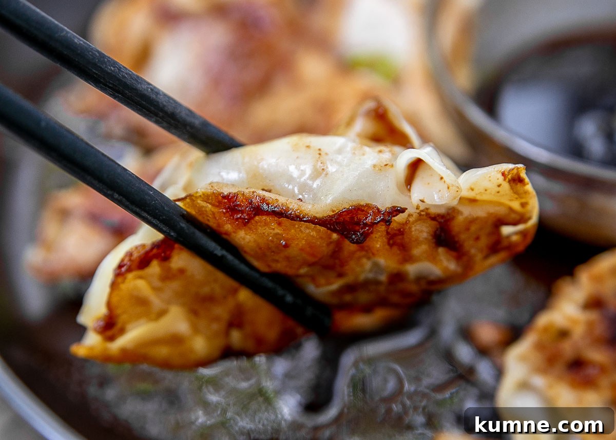 Crispy Pork Potstickers with Ginger Soy Dipping Sauce 3 Chopsticks holding up a pork potsticker.