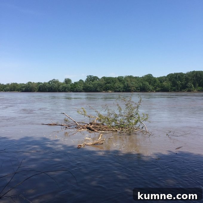 Missouri River Scenic Hike: Top Trails and River Views 11 view of a river in st charles missouri