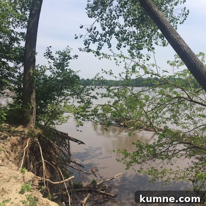 Missouri River Scenic Hike: Top Trails and River Views 15 a muddy inlet at the rivers edge st charles mo