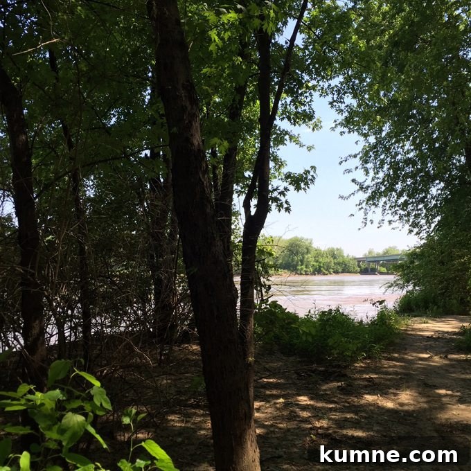 Missouri River Scenic Hike: Top Trails and River Views 17 gorgeous view of the river in saint charles missouri