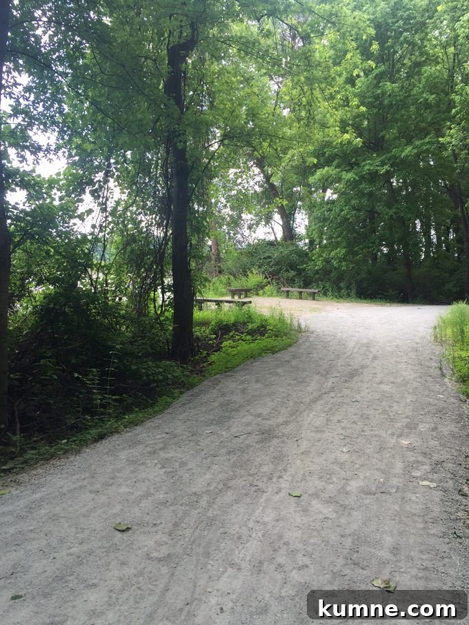 Missouri River Scenic Hike: Top Trails and River Views 22 a pathway at eco park in saint charles missouri