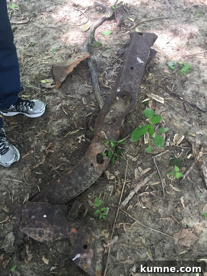 Missouri River Scenic Hike: Top Trails and River Views 6 discoveries in the woods of St. Charles - rusted objects from the great flood of 1993