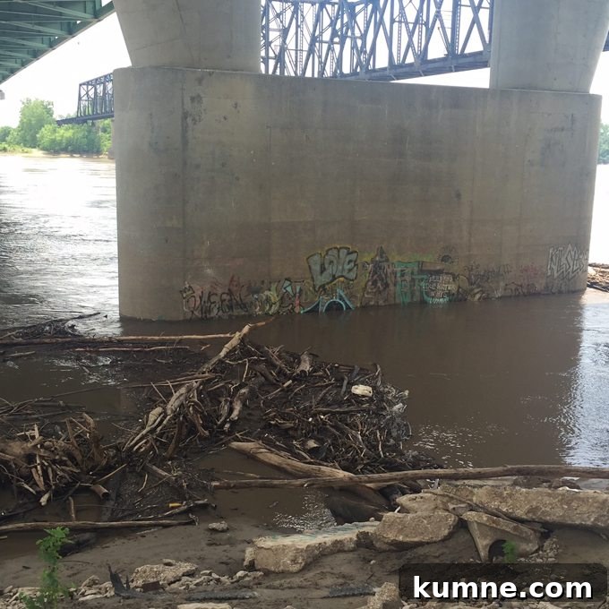 Missouri River Scenic Hike: Top Trails and River Views 8 graffiti under a bridge in St. Charles, MO