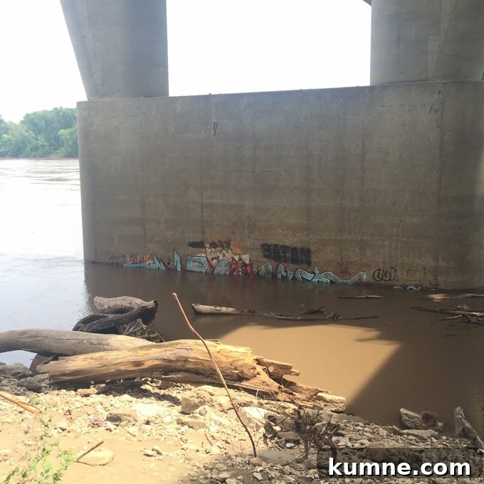Missouri River Scenic Hike: Top Trails and River Views 9 graffiti under a bridge in St. Charles MO