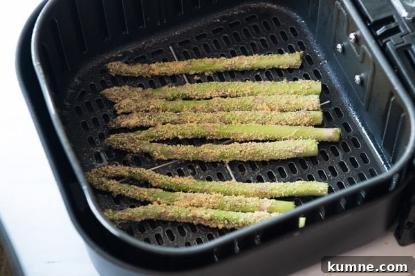 Crispy Keto Air Fryer Asparagus Recipe 7 Laying Asparagus in air fryer basket