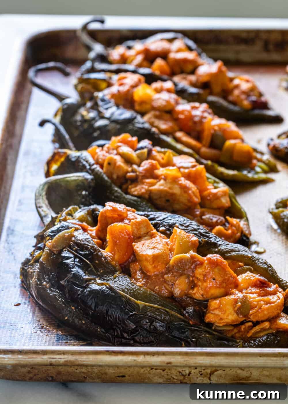 roasted chiles filled with chicken and vegetables