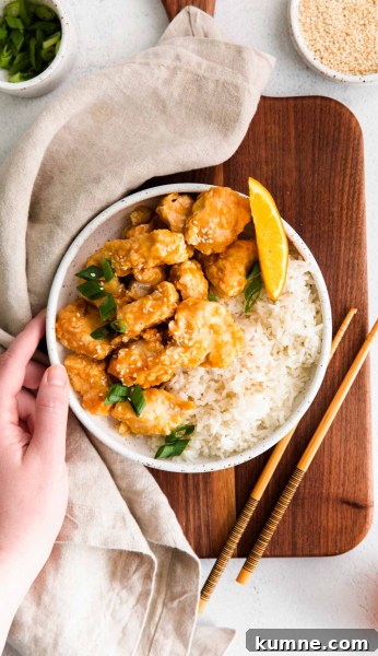 Crispy Air Fryer Orange Chicken Recipe for Quick Weeknights 4 img 126530 3