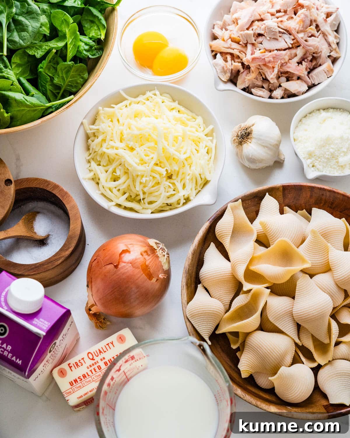 Creamy Chicken Alfredo Stuffed Shells Recipe for Dinner 2 Ingredients to make chicken alfredo stuffed shells.