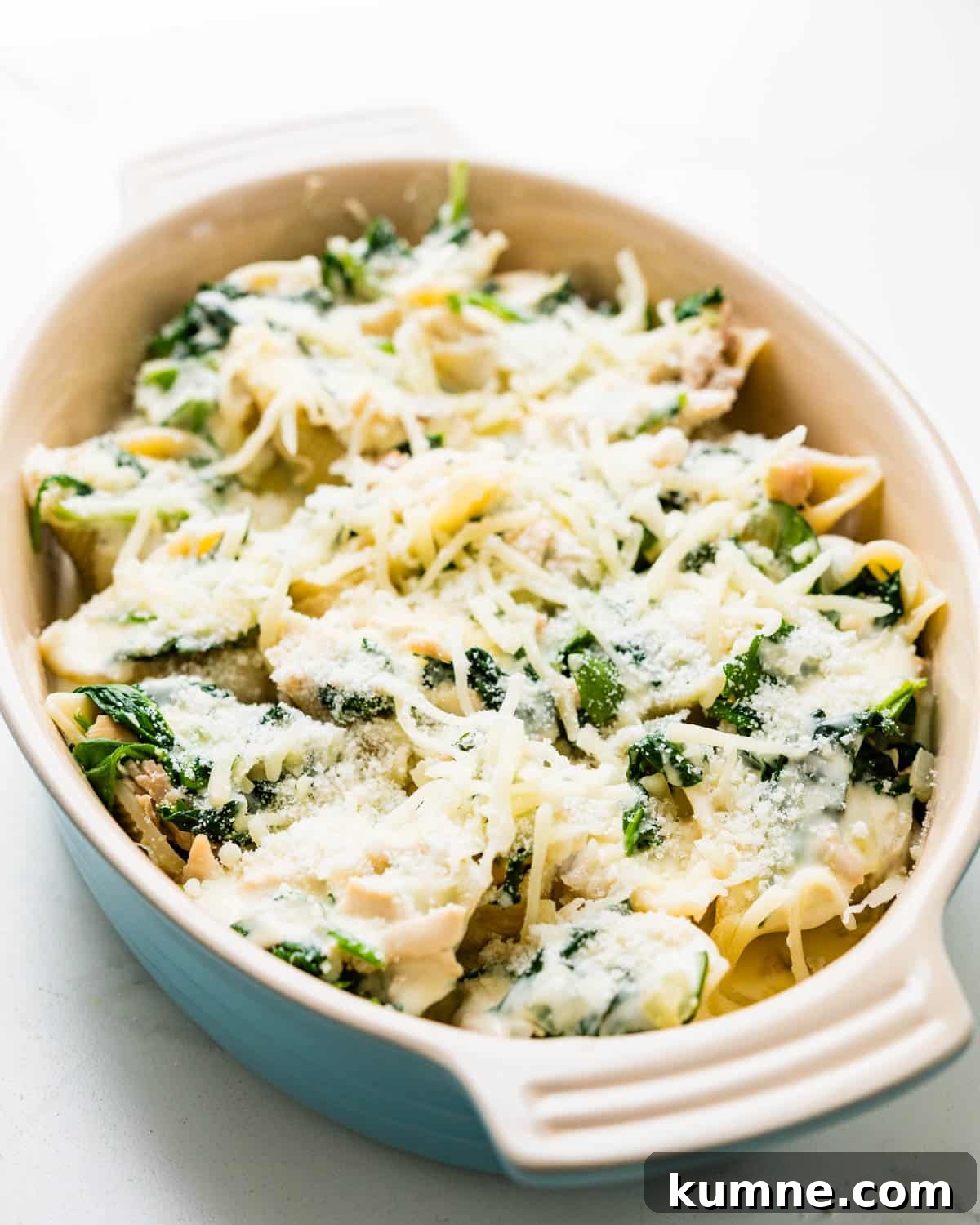 Creamy Chicken Alfredo Stuffed Shells Recipe for Dinner 12 Sprinkling two kinds of cheese over the chicken and spinach stuffed shells.