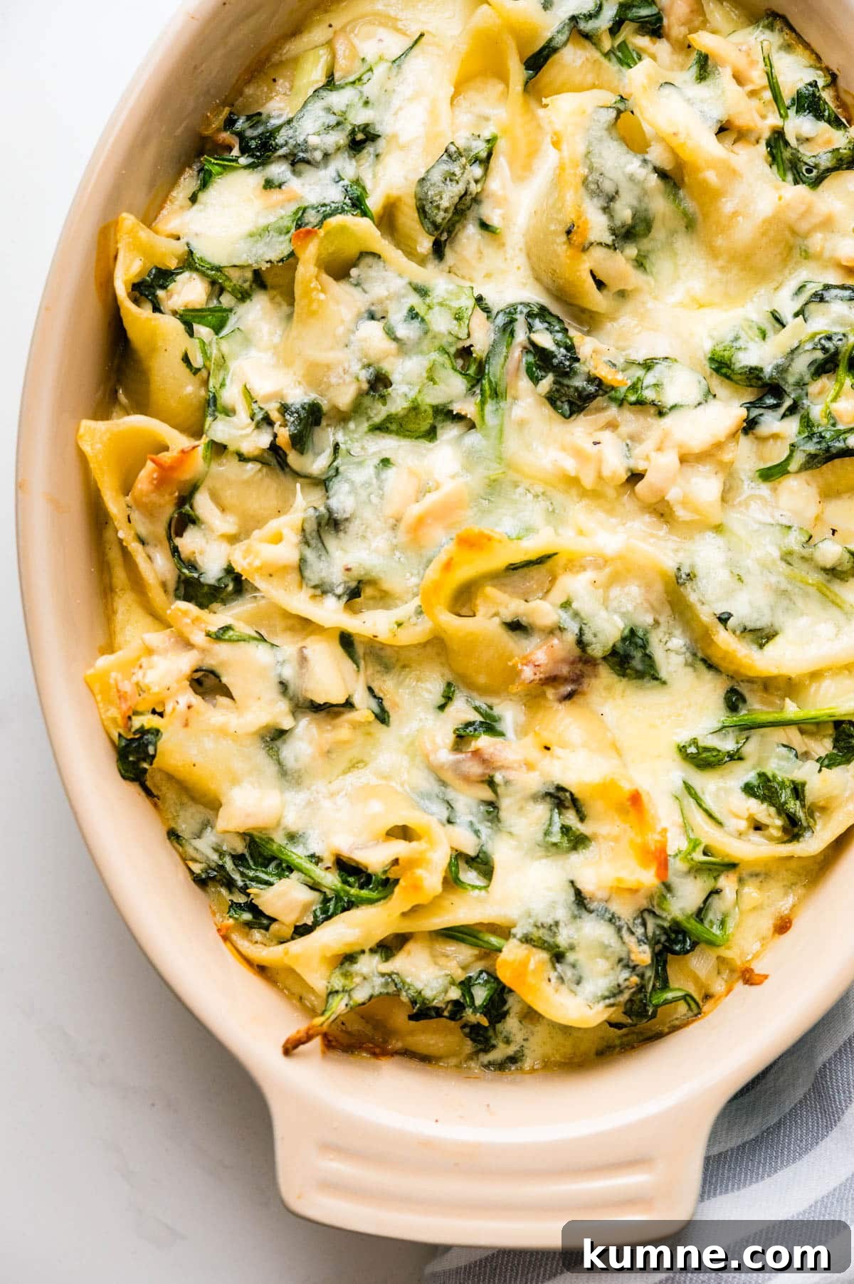 Creamy Chicken Alfredo Stuffed Shells Recipe for Dinner 13 The chicken stuffed shells hot from the oven.