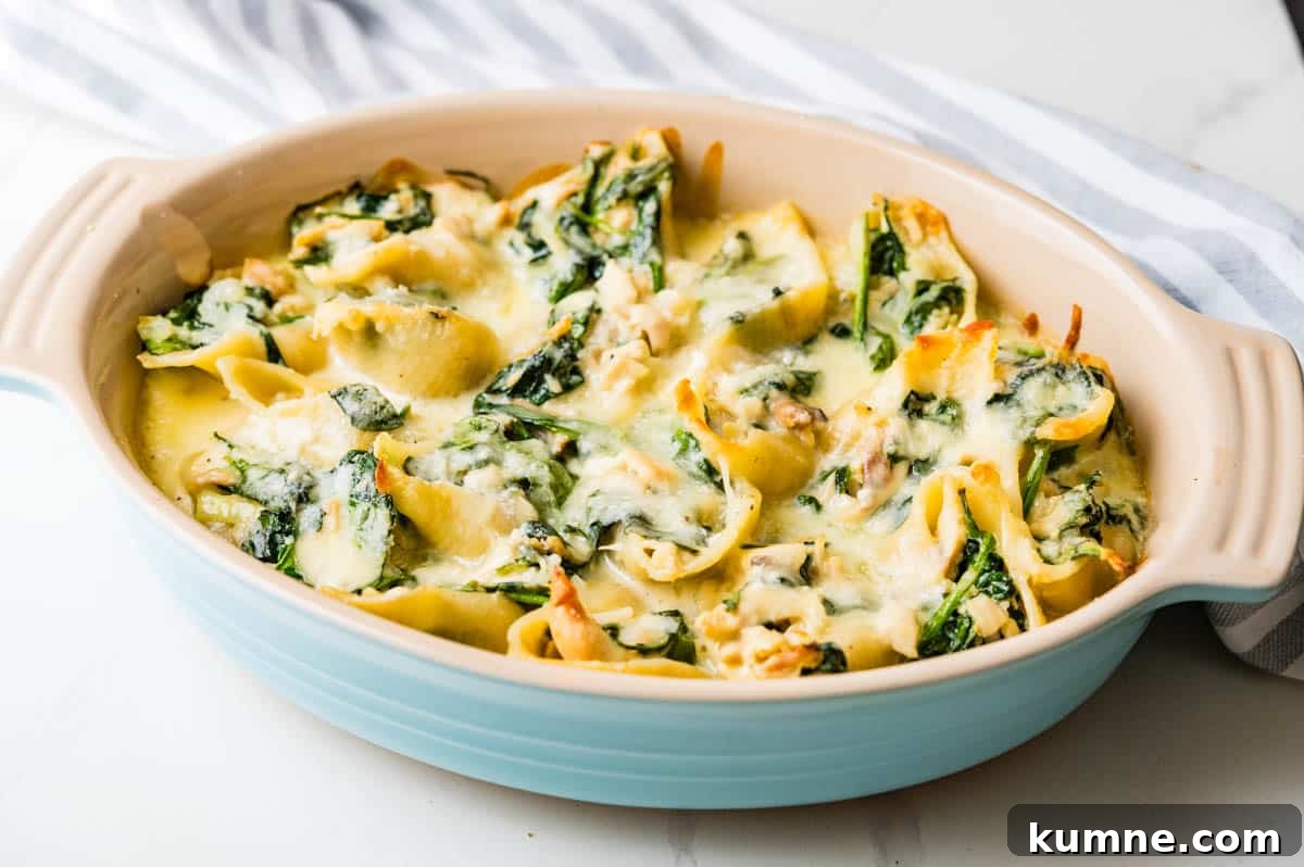 Creamy Chicken Alfredo Stuffed Shells Recipe for Dinner 14 A casserole dish of chicken alfredo stuffed shells.