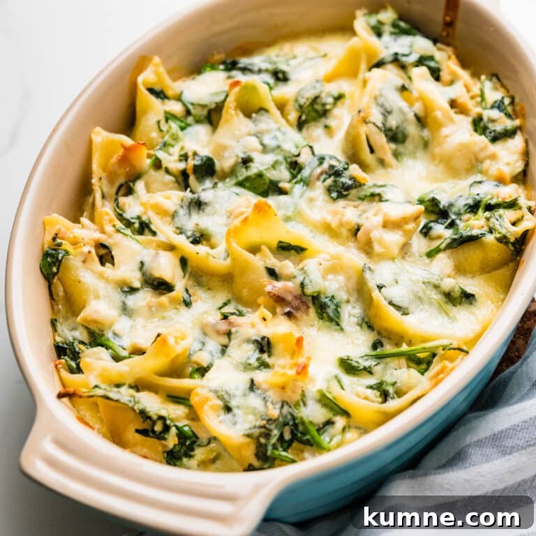 Creamy Chicken Alfredo Stuffed Shells Recipe for Dinner 16 A baked chicken alfredo stuffed shells casserole.
