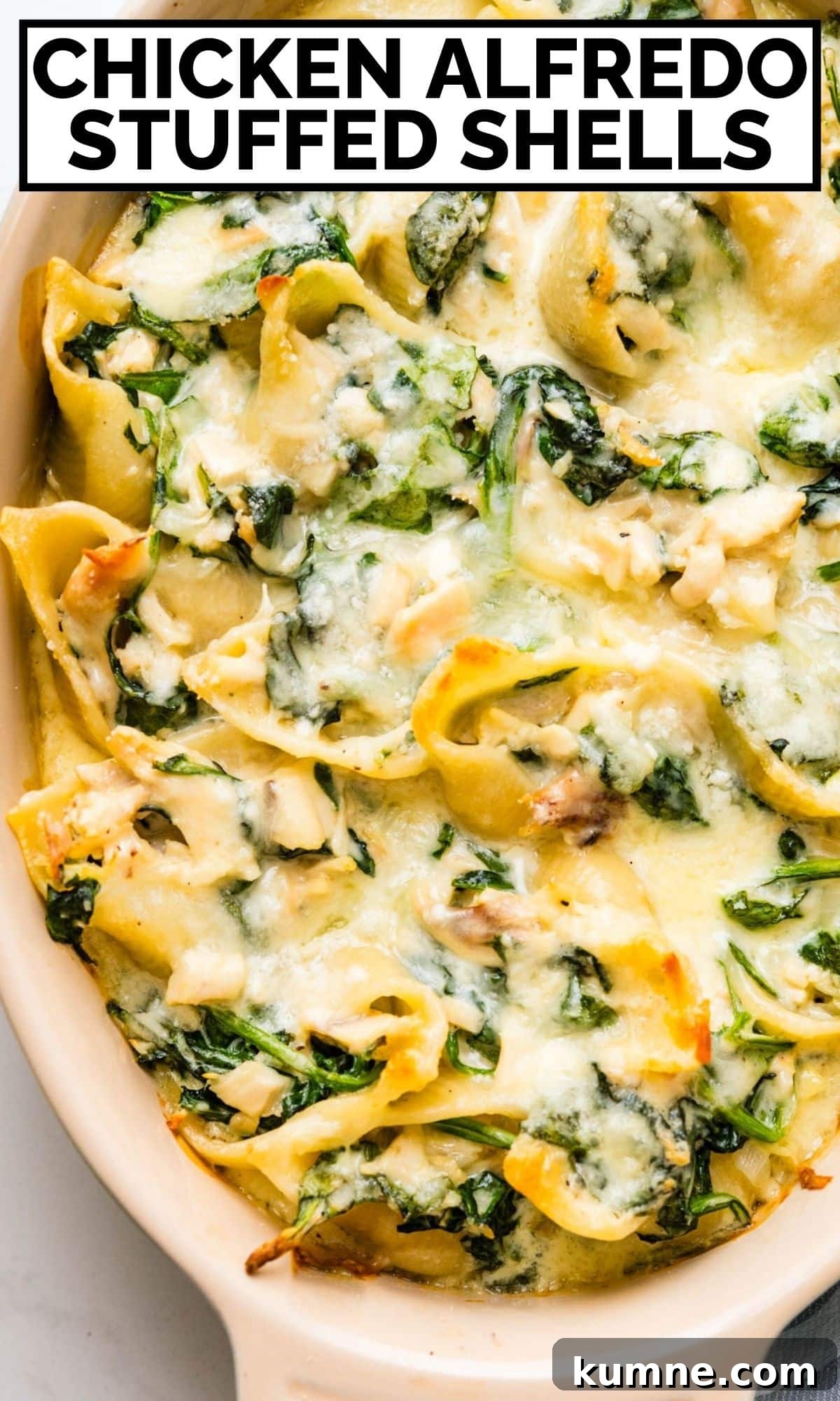 Creamy Chicken Alfredo Stuffed Shells Recipe for Dinner 17 A Pinterst Pin to save for later.