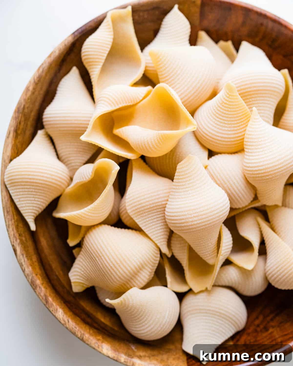 Creamy Chicken Alfredo Stuffed Shells Recipe for Dinner 3 Uncooked shell pasta in a bowl.