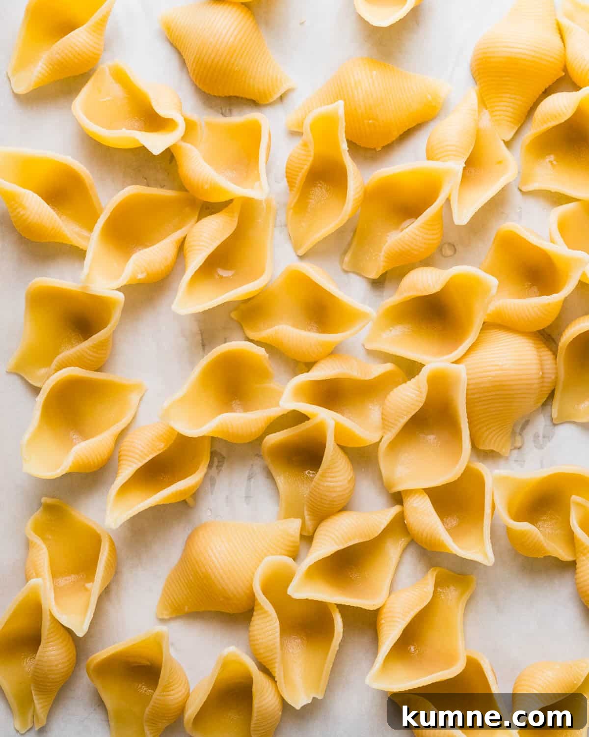 Creamy Chicken Alfredo Stuffed Shells Recipe for Dinner 4 Cooling cooked pasta shells.