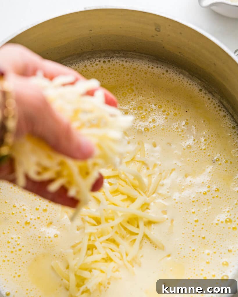 Creamy Chicken Alfredo Stuffed Shells Recipe for Dinner 8 Adding mozzarella cheese to the alfredo sauce.