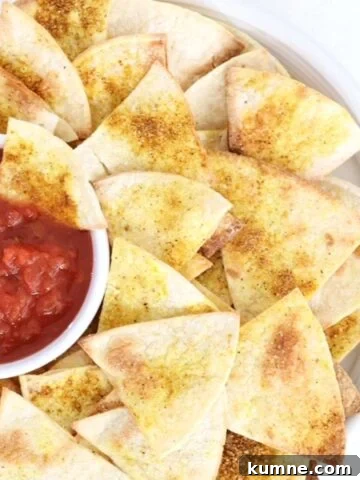 Homemade tortilla chips with salsa on a white plate.