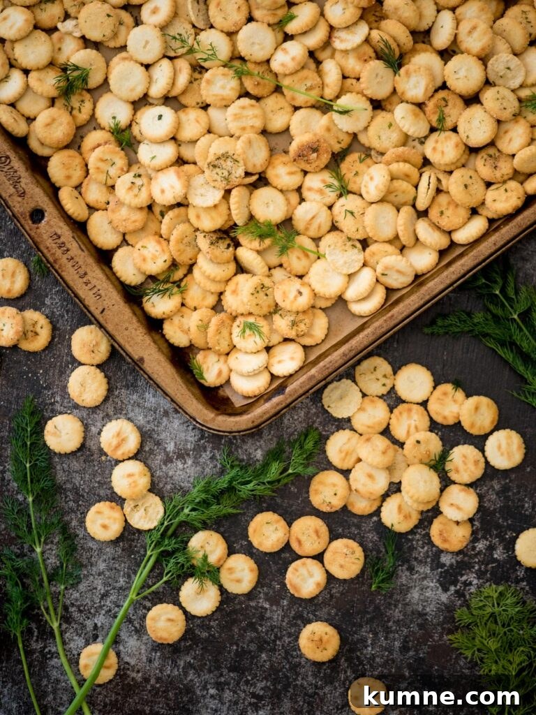 Ranch Dill Oyster Crackers Recipe for Party Snacks 2 Baking sheet covered in seasoned oyster crackers with sprigs of fresh dill.