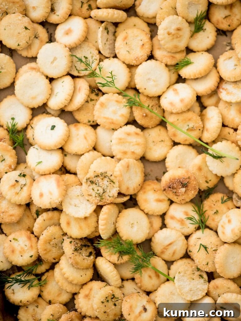 Ranch Dill Oyster Crackers Recipe for Party Snacks 9 seasoned oyster crackers with fresh dill sprinkled over the top.