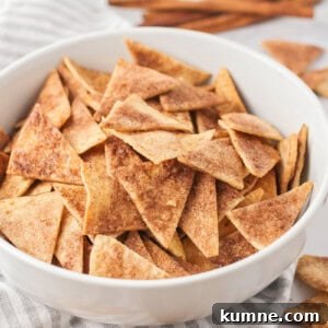 Cinnamon tortilla chips in a bowl.