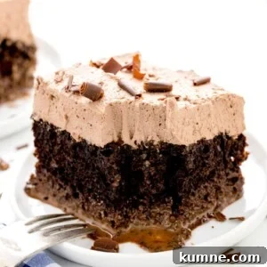 Slice of chocolate tres leches cake.